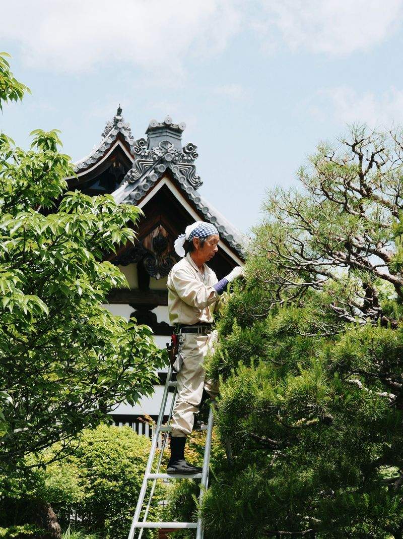 田中 健太